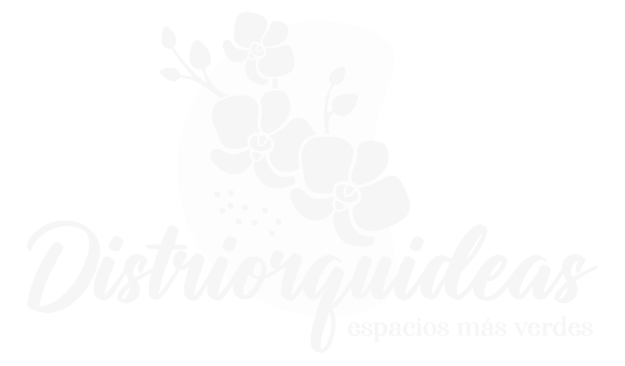 orquídeas en Bogotá, orquídeas cerca de mi, orquideas, orquídeas a domicilio, orquídeas a domicilio bogota, pachira, tronco de la felicidad, rosa preservada, distriorquideas, nuestros productos