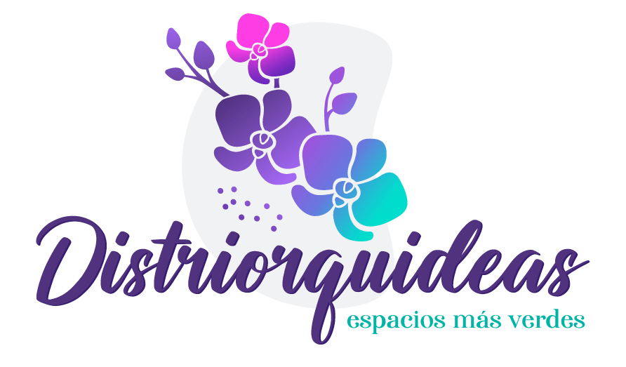 orquídeas en Bogotá, orquídeas cerca de mi, orquideas, orquídeas a domicilio, orquídeas a domicilio bogota, pachira, tronco de la felicidad, rosa preservada, distriorquideas, nuestros productos